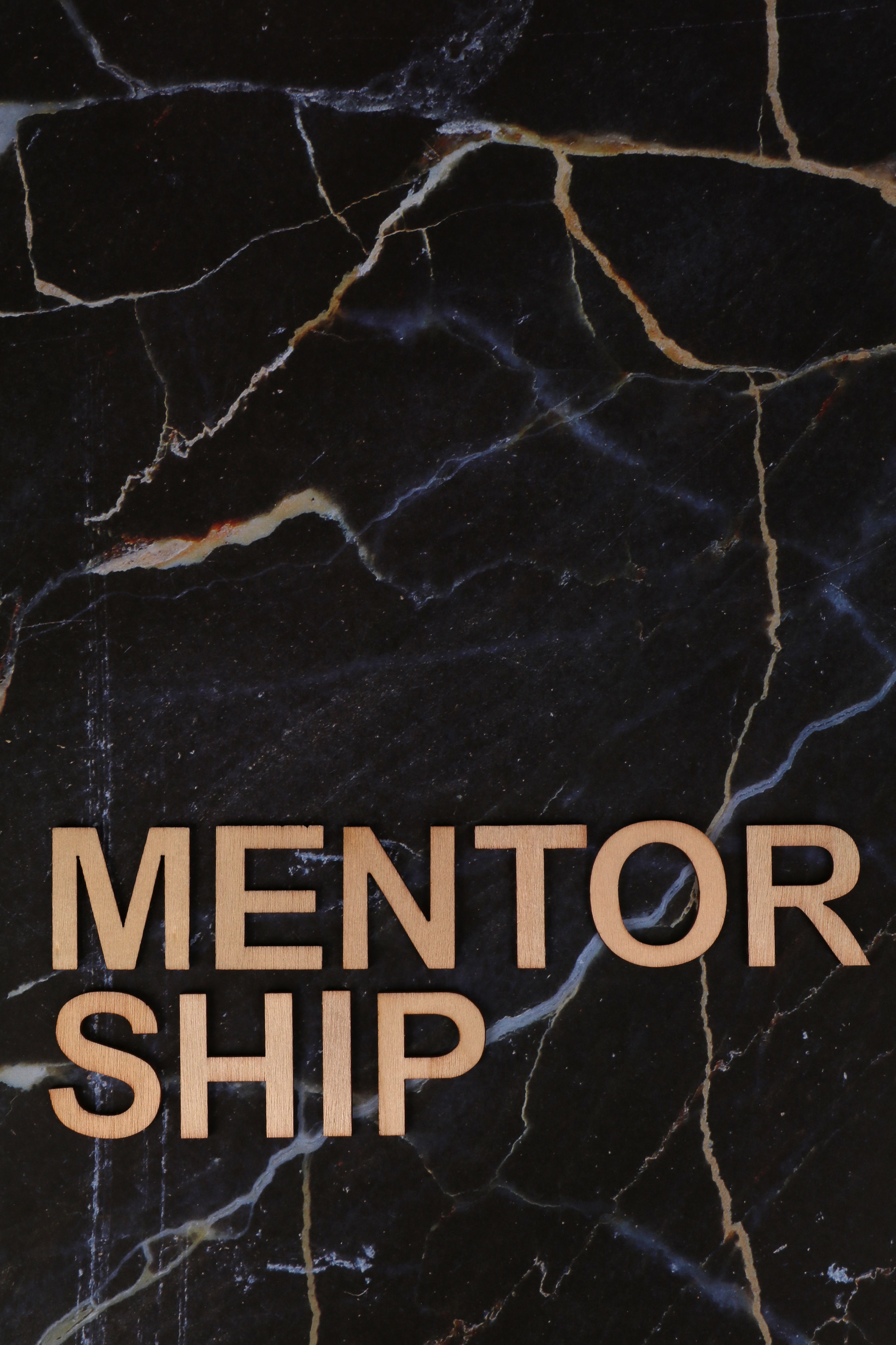 Mentorship session